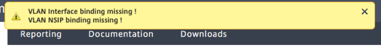 VLAN Interface