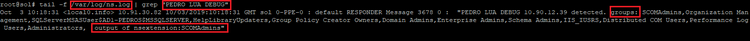 Example Output
