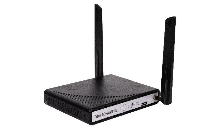 SD WAN 110