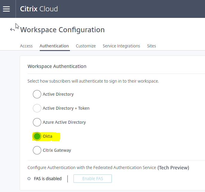 Citrix Google 1