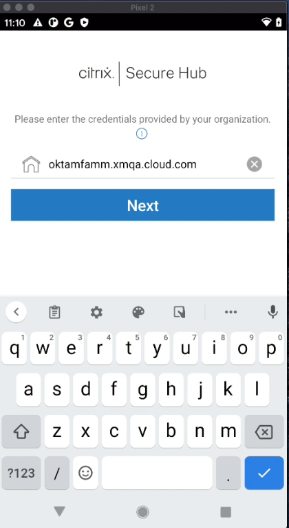 Citrix Google 4