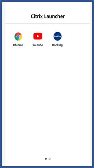 Citrix Launcher 2