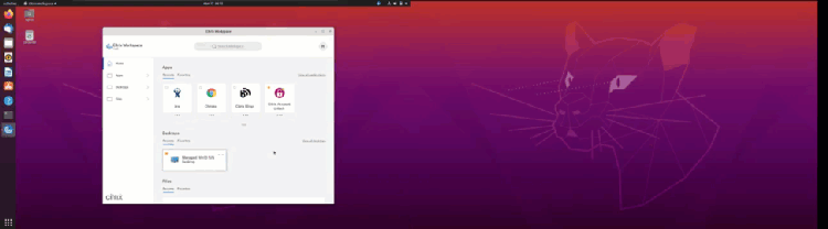 Screen Pinning Animation