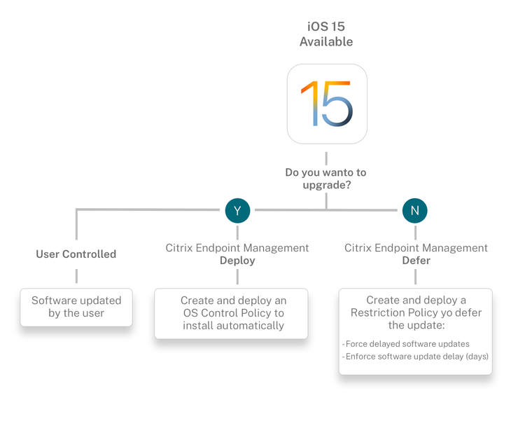 Apple Updates 1