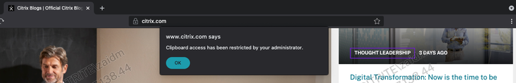 Citrix Workspace Browser