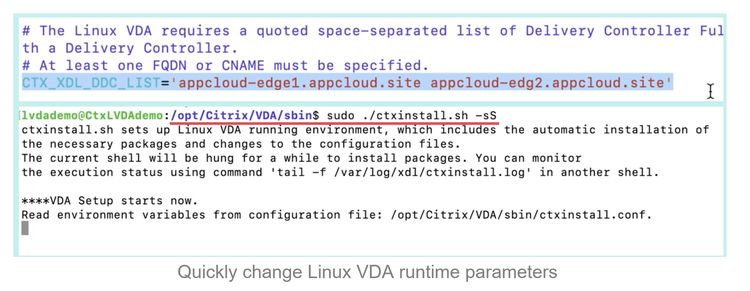 Quickly Change Linux VDA Runtime Parameters