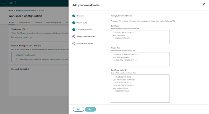 CustDomain4