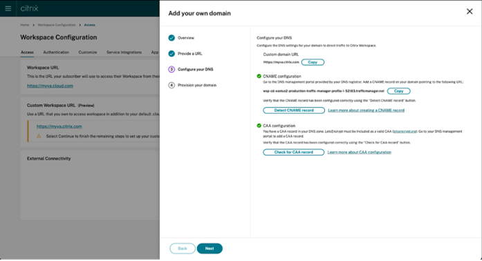 CustDomain3