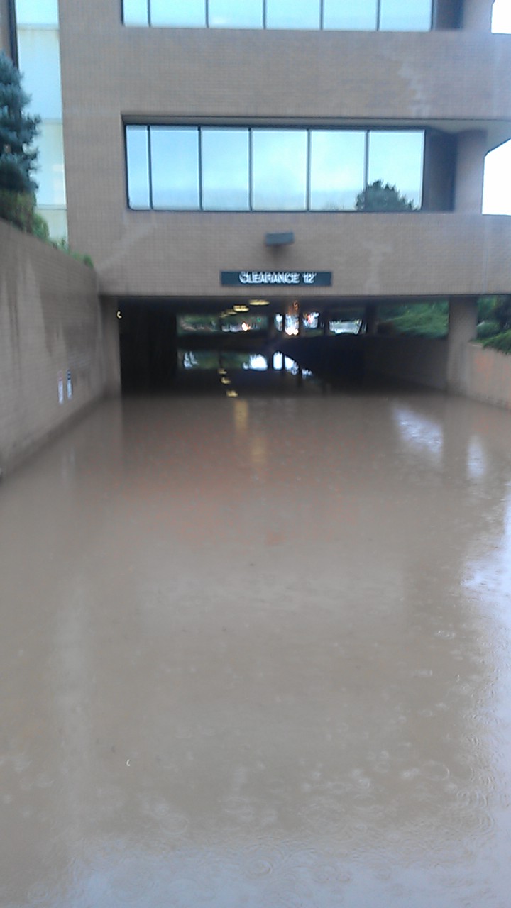 Citrix partner Virsage flooding hosted desktops