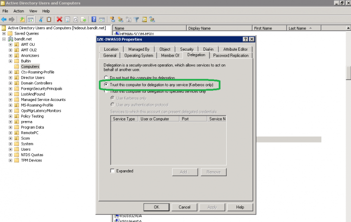 Enable delegation on the Active Directory for the server on which Director is installed