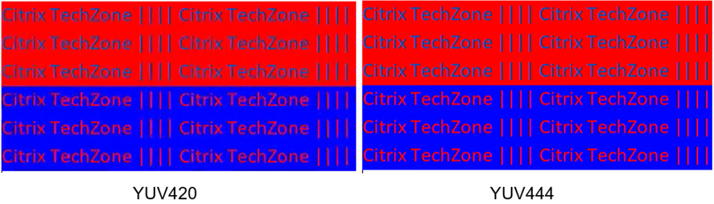 An example of the new Citrix HDX Powered by the AV1 Codec Public Tech Preview in action: above is a comparison of the resolution of YUV4:2:0 vs. YUV4:4:4 inside of a Citrix session.