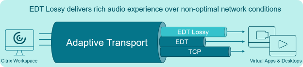 EDT Lossy virtual channel