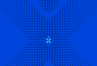 citrix flex X symbol