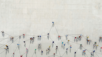 arial view of people